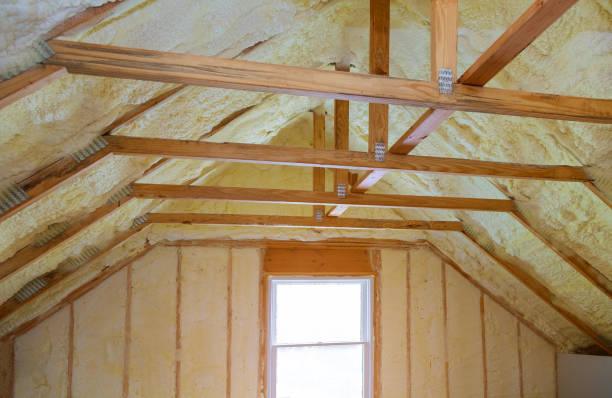 Best Soundproof Insulation Installation  in International Falls, MN