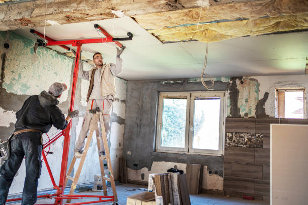 Best Spray Foam Insulation  in International Falls, MN