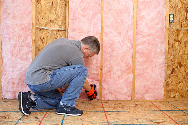 Best Cellulose Insulation  in International Falls, MN