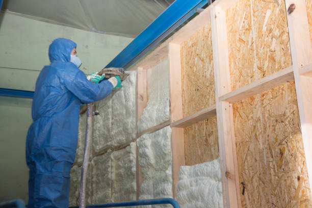 Attic Insulation Near Me in International Falls, MN