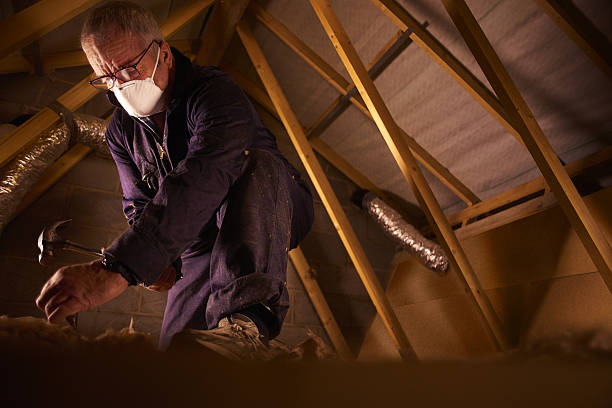 Best Insulation Inspection Services  in International Falls, MN