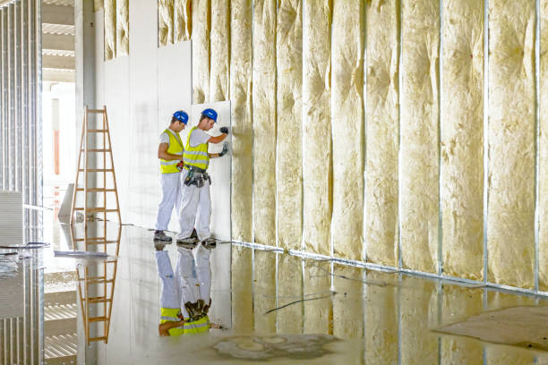 Best Attic Insulation Installation  in International Falls, MN